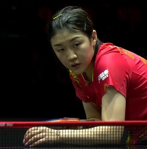 会因任何报 会因任何报